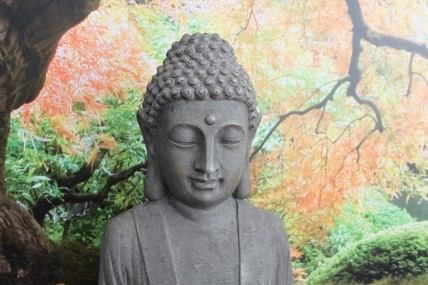 Buddha bij Zen Shiatsu